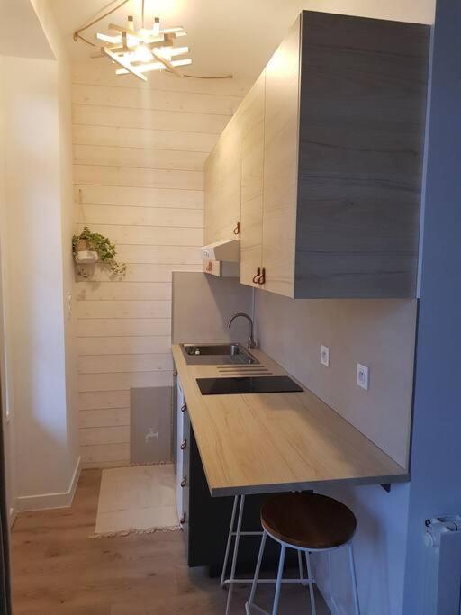 Studio Avec Terrasse Hyper Centre فيشي المظهر الخارجي الصورة
